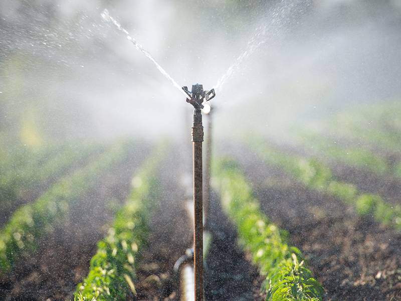 Irrigazione in agricoltura